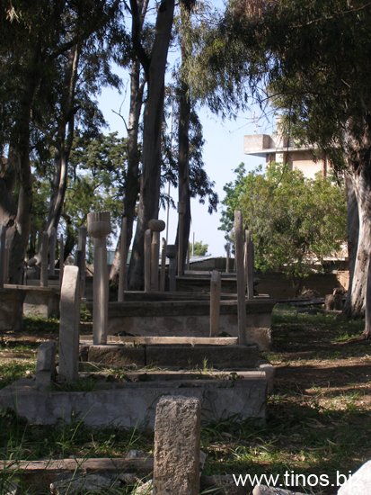 rodos 141